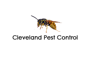 Cleveland Pest Control